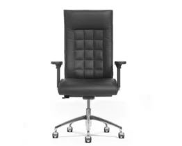 luxurious high back executive chair with ergonomic adjustments