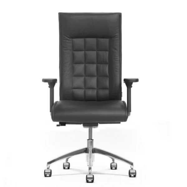 Luxurious High Back Executive Chair With Ergonomic Adjustments