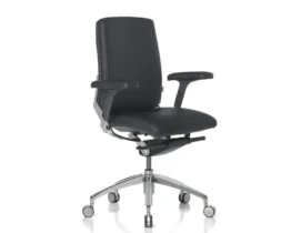 luxury medium back executive chair with lumbar support