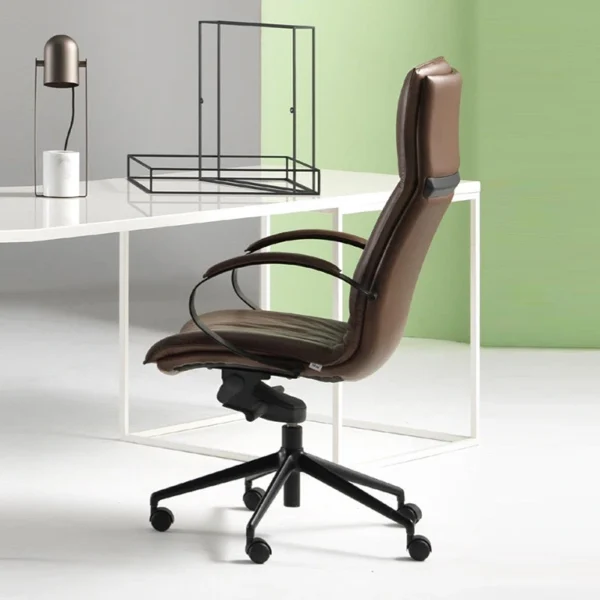 Brown Leather executive office chair